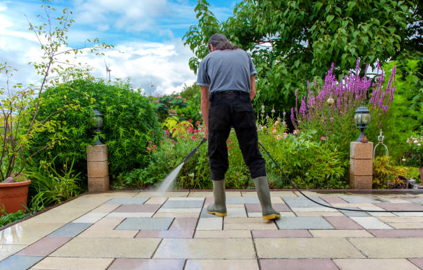 Animal Enclosure Cleaning in Rockvale, TN